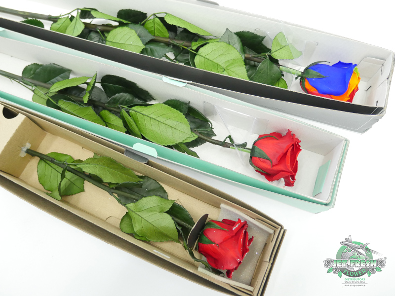 Preserved Roses at Jet Fresh Flowers