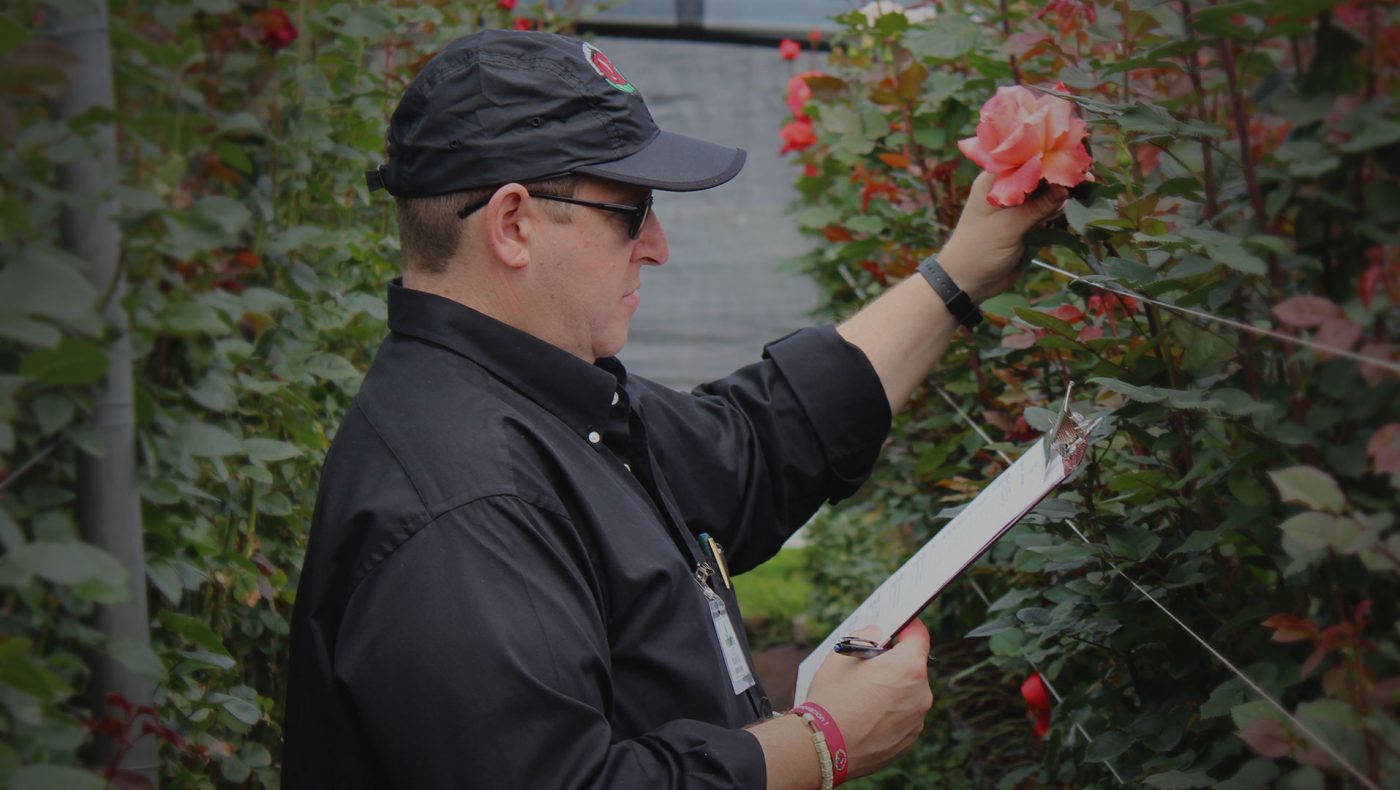 Jet Fresh Flower Distributors