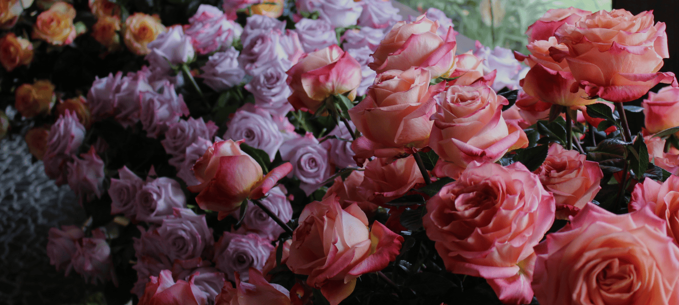 Jet Fresh Flower Distributors