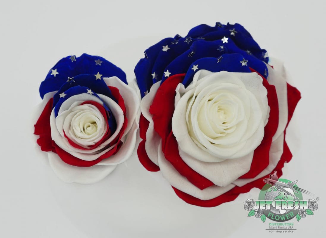 Jet Fresh Flower Distributors