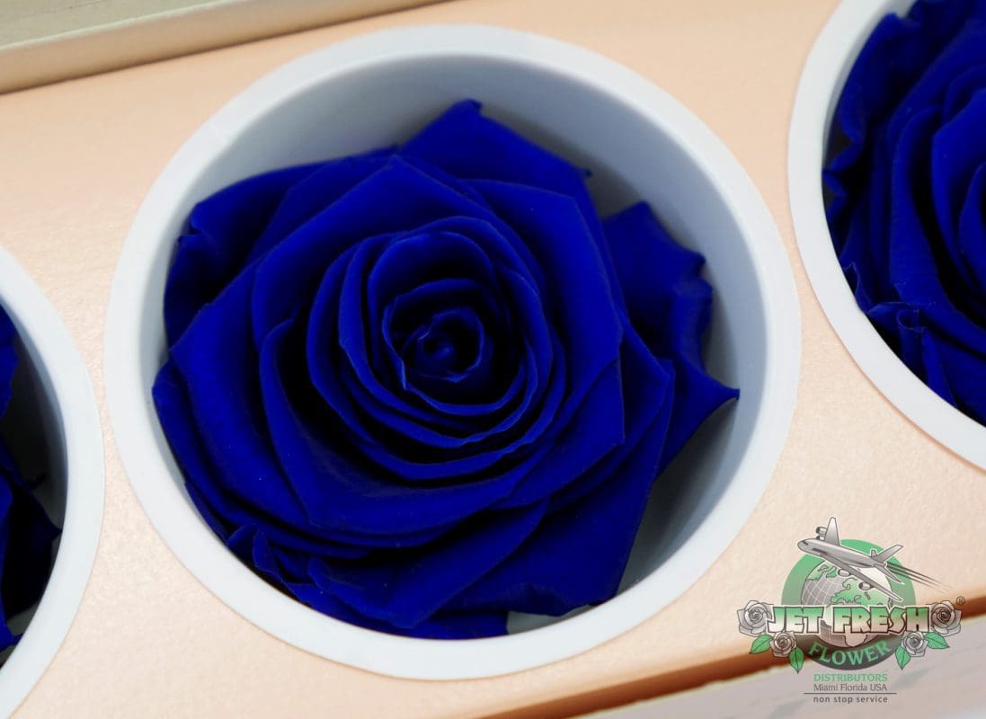 Jet Fresh Flower Distributors