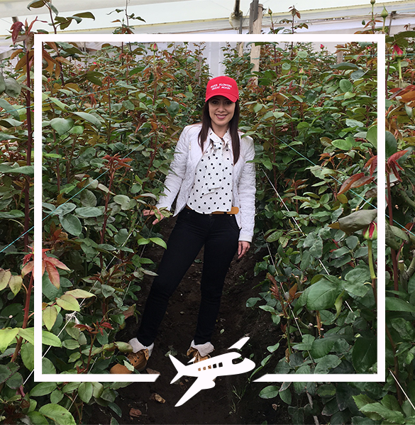 Jet Fresh Flower Distributors