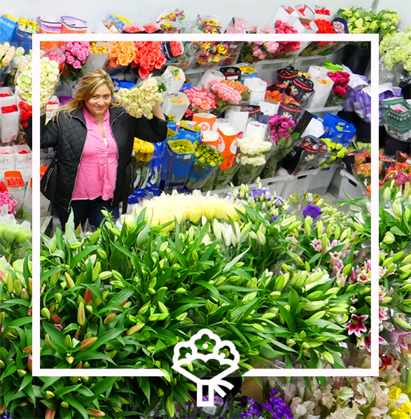Jet Fresh Flower Distributors