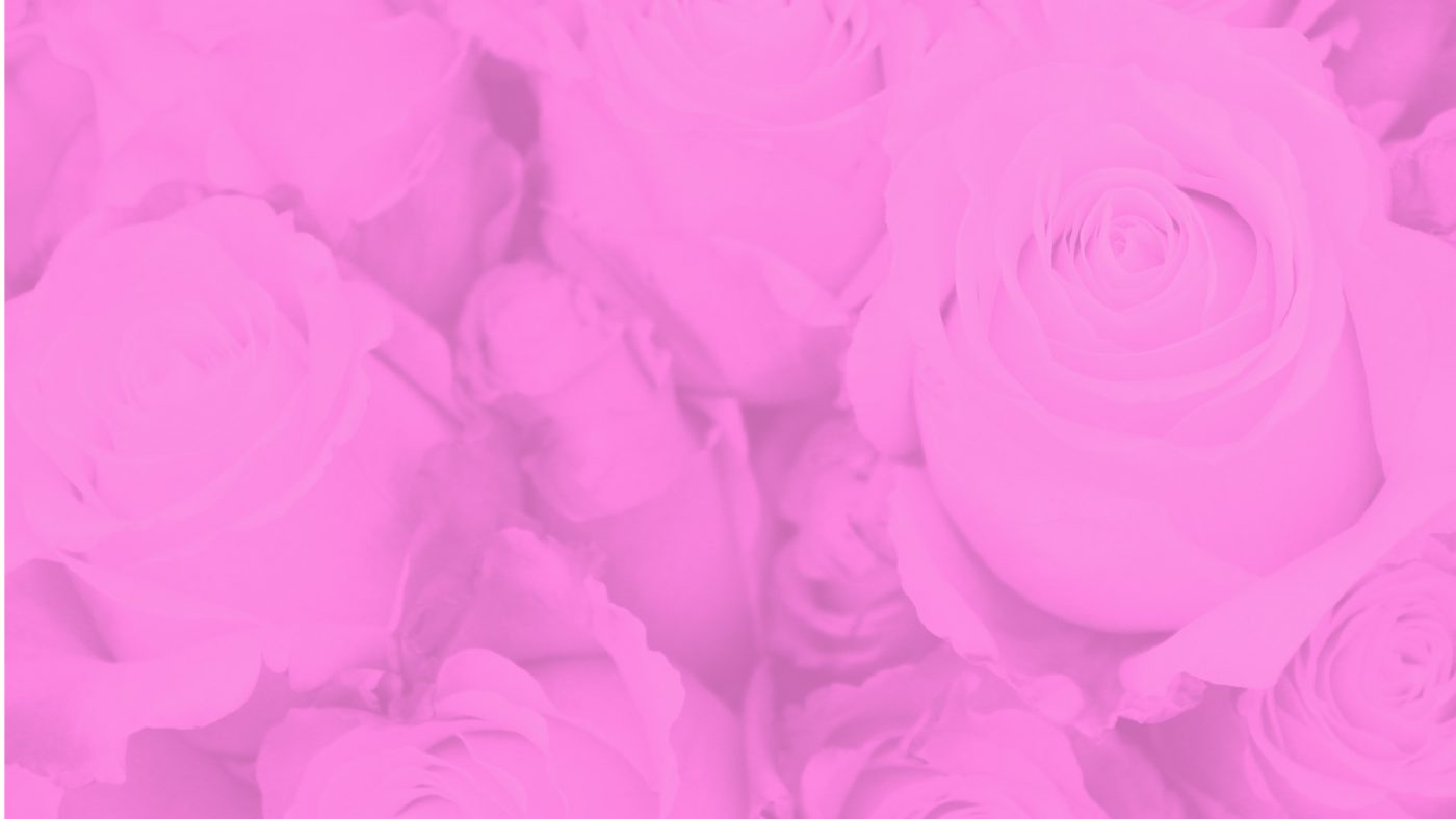 Jet Fresh Flower Distributors