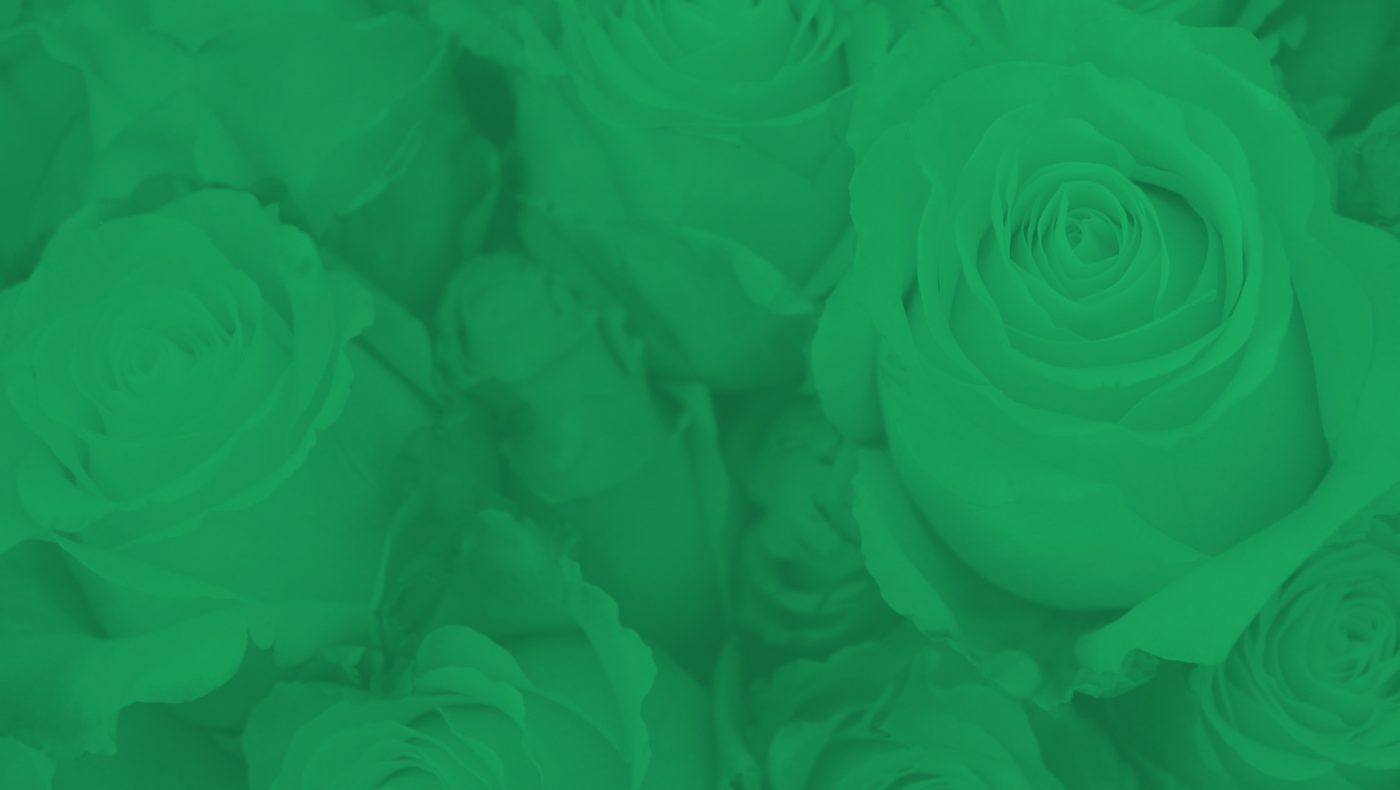 Roses green contact form