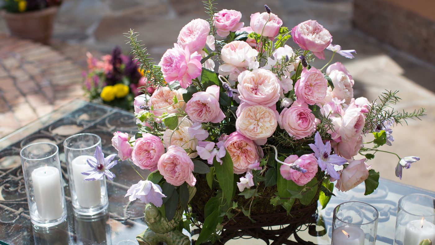 Jet Fresh Flower Distributors