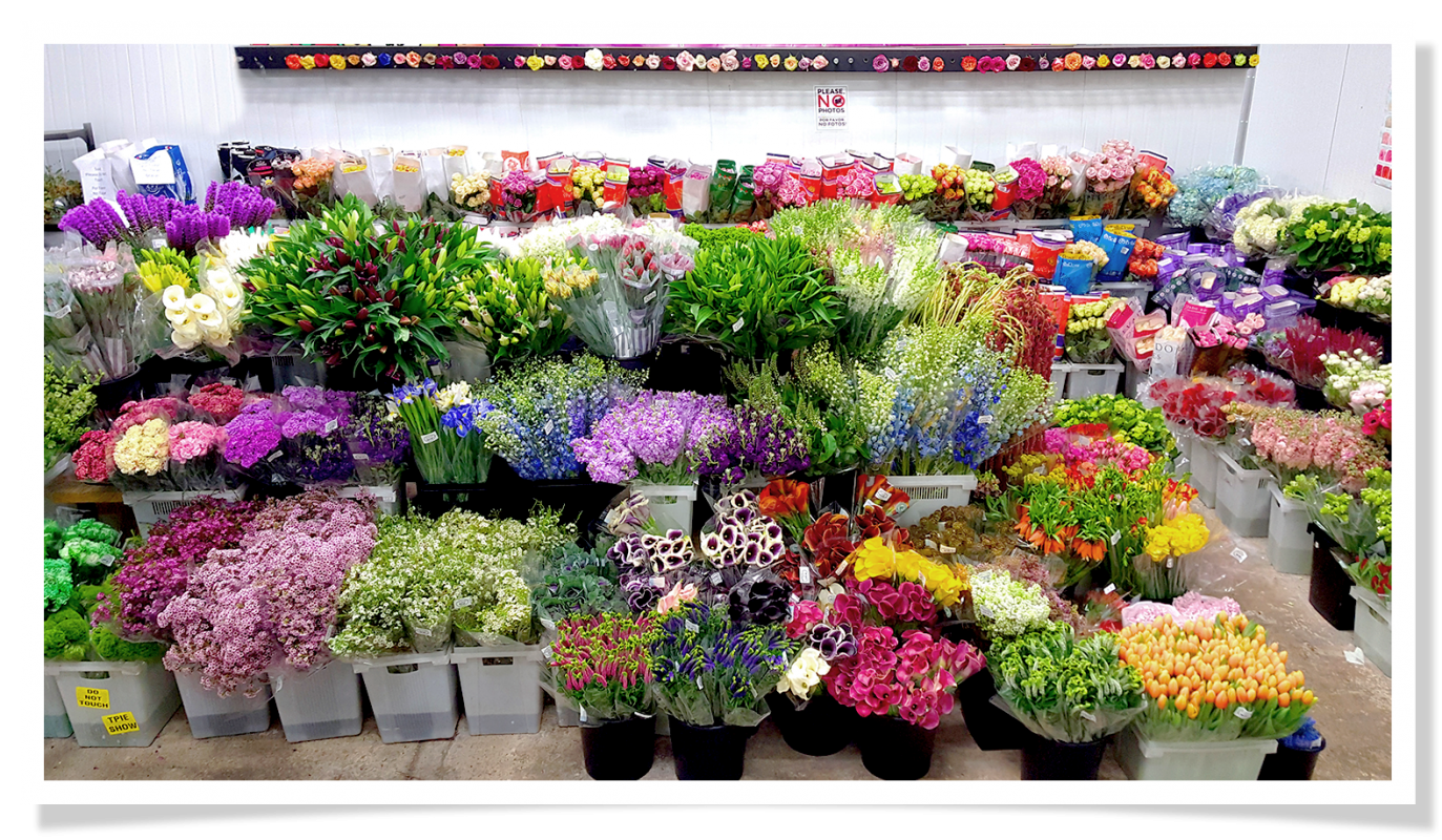 Jet Fresh Flower Distributors