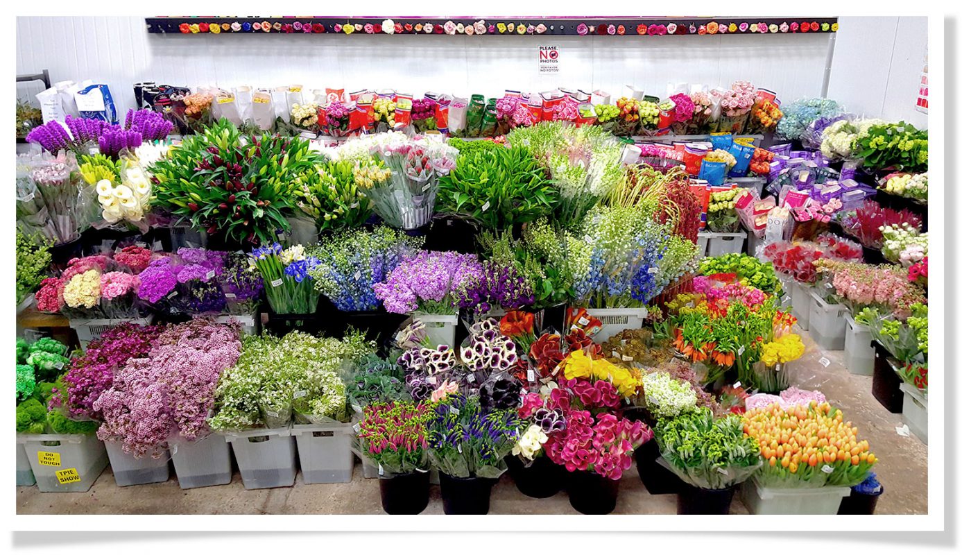Jet Fresh Flower Distributors