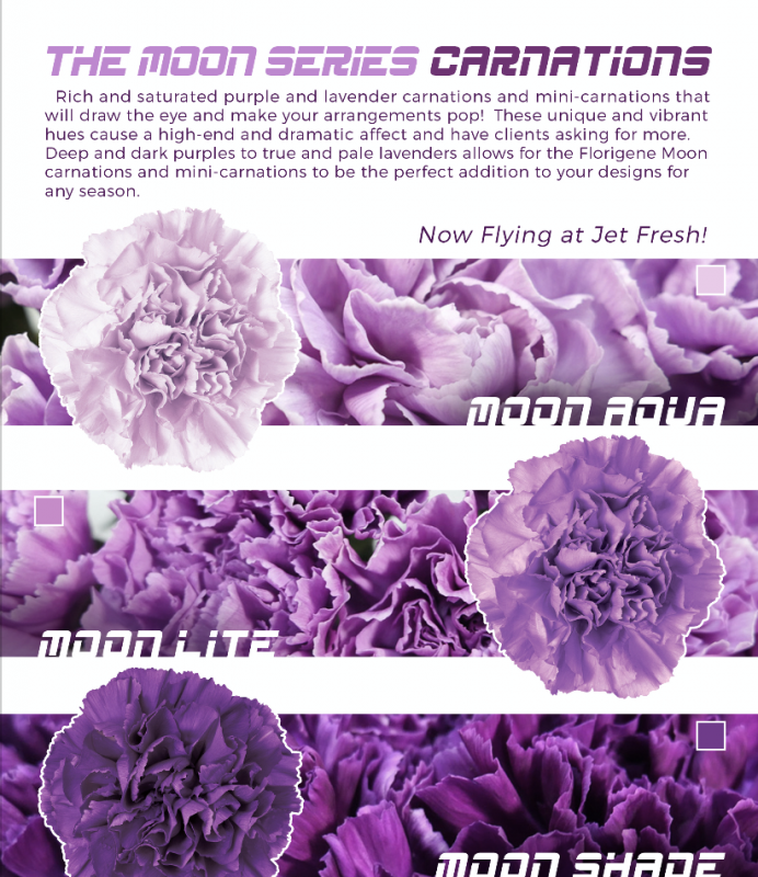 Jet Fresh Flower Distributors