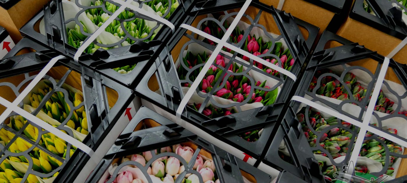 Jet Fresh Flower Distributors