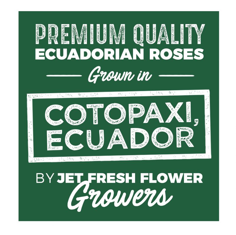 Jet Fresh Flower Distributors