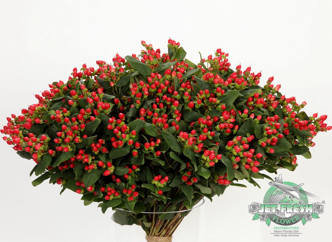 Jet Fresh Flower Distributors