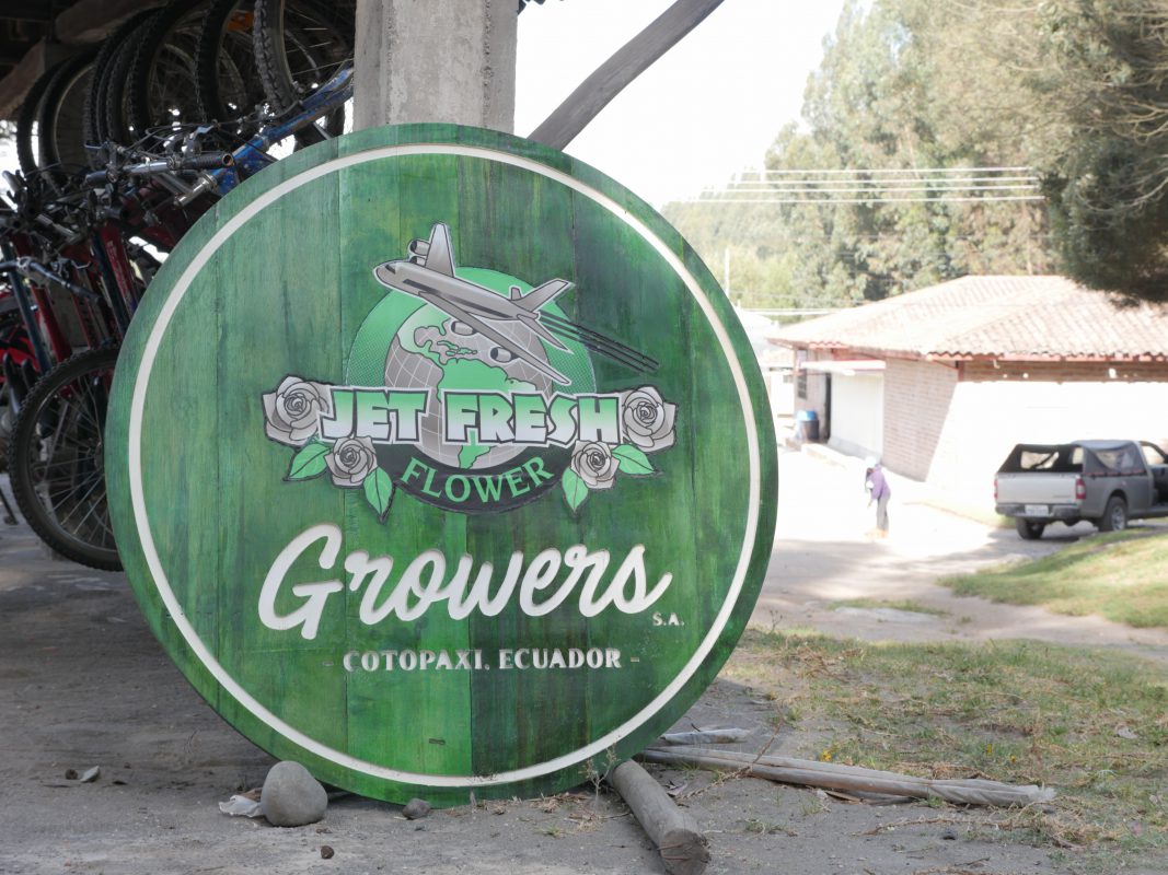 Jet Fresh Flower Distributors
