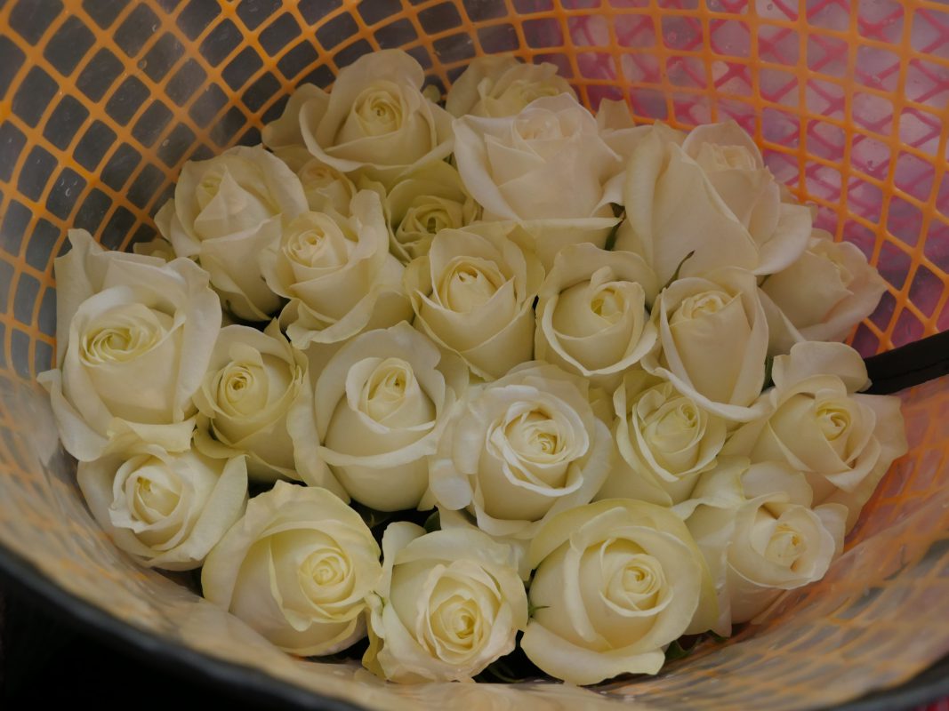 Jet Fresh Flower Distributors