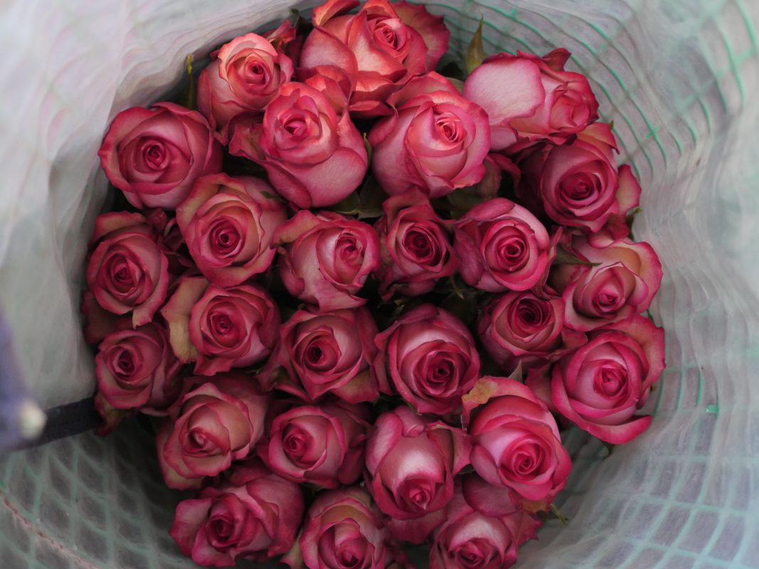 Jet Fresh Flower Distributors