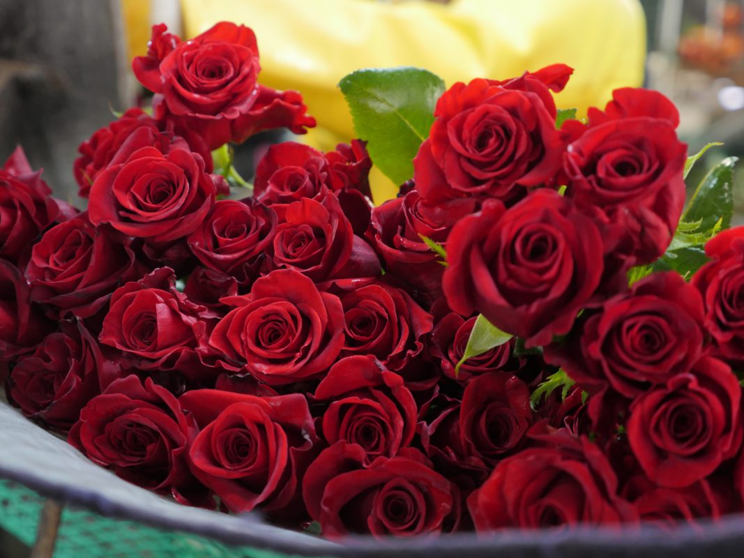Jet Fresh Flower Distributors