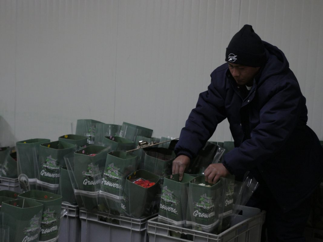 Jet Fresh Flower Distributors