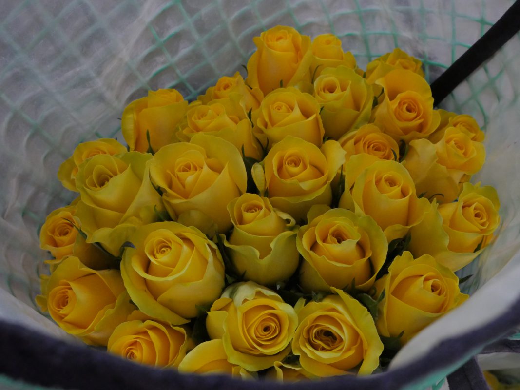Jet Fresh Flower Distributors