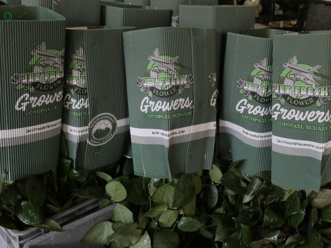 Jet Fresh Flower Distributors