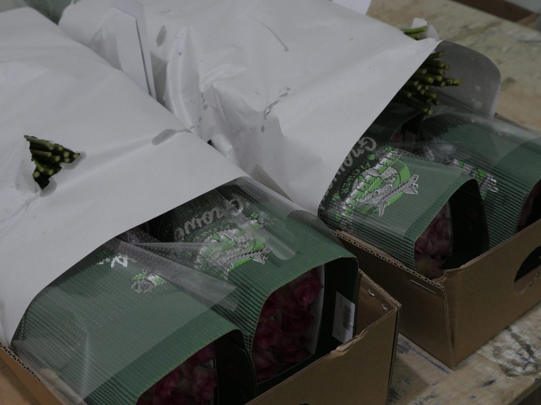 Jet Fresh Flower Distributors