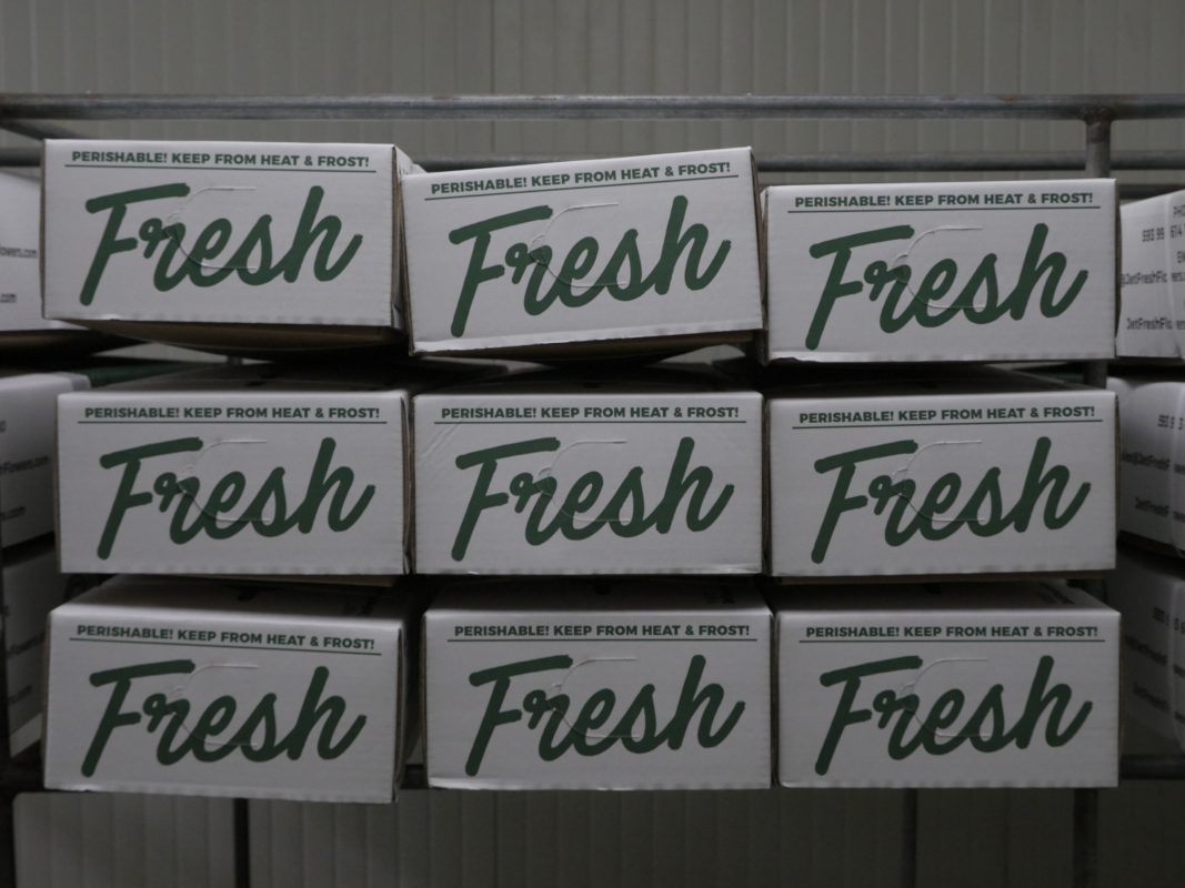 Jet Fresh Flower Distributors
