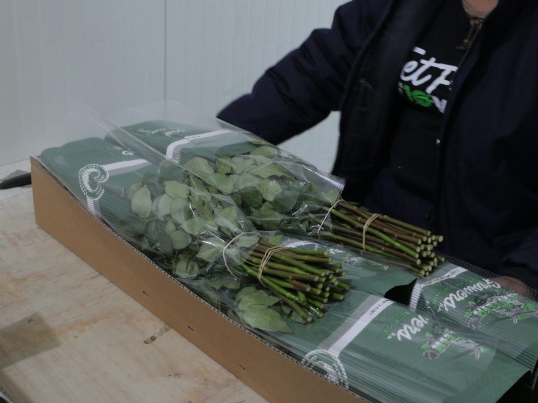 Jet Fresh Flower Distributors