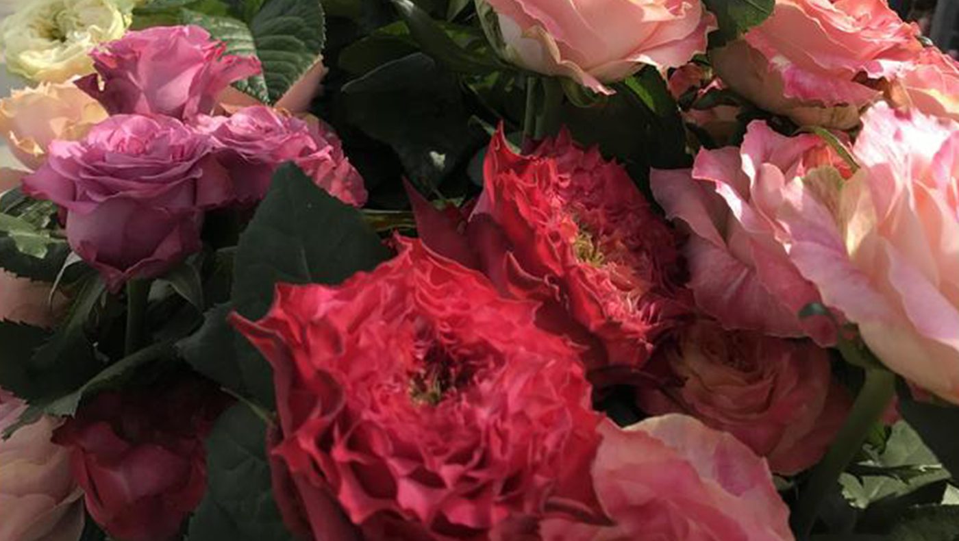 Jet Fresh Flower Distributors