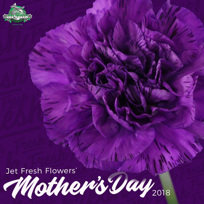 Jet Fresh Flower Distributors