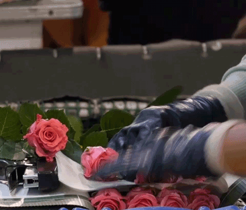 Jet Fresh Flower Distributors