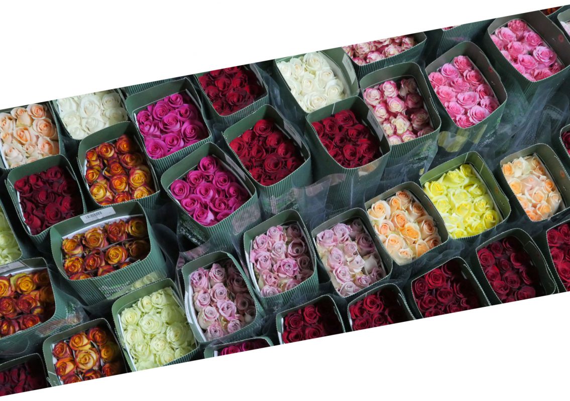 Jet Fresh Flower Distributors