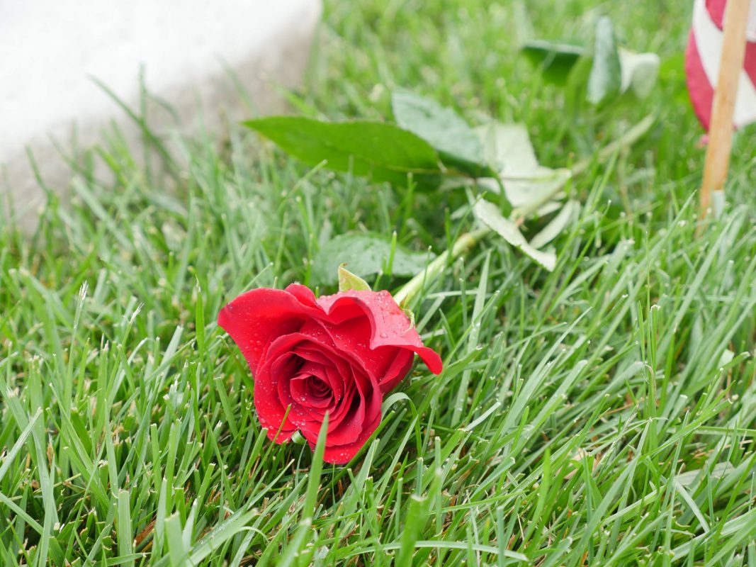 Jet Fresh Flower Distributors
