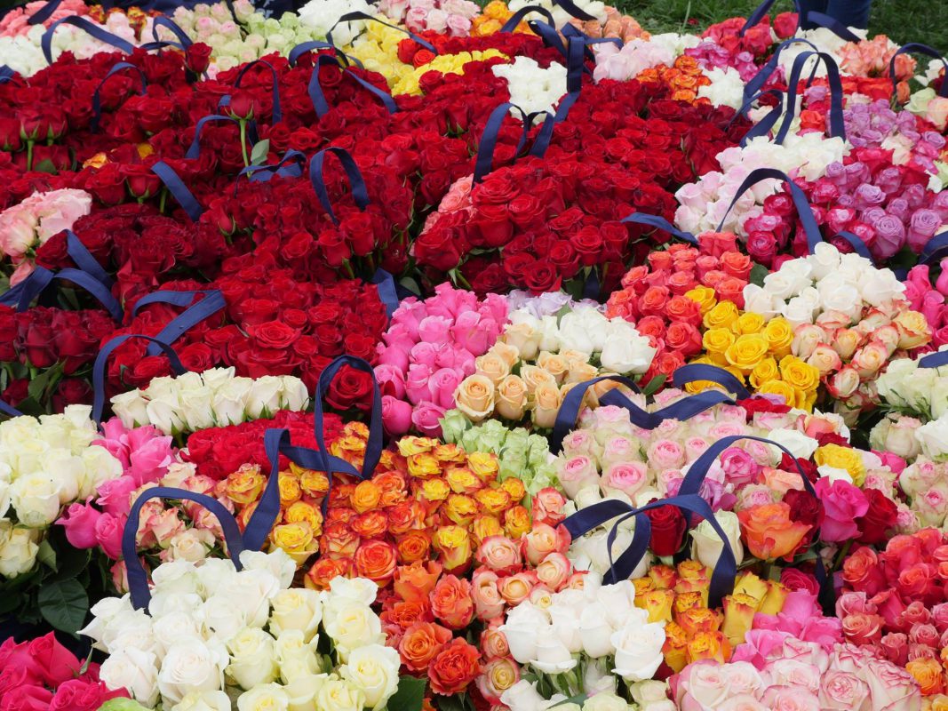 Jet Fresh Flower Distributors