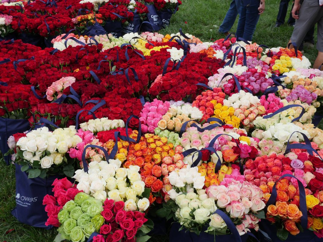 Jet Fresh Flower Distributors