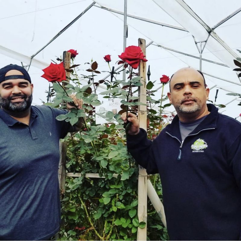 Jet Fresh Flower Distributors