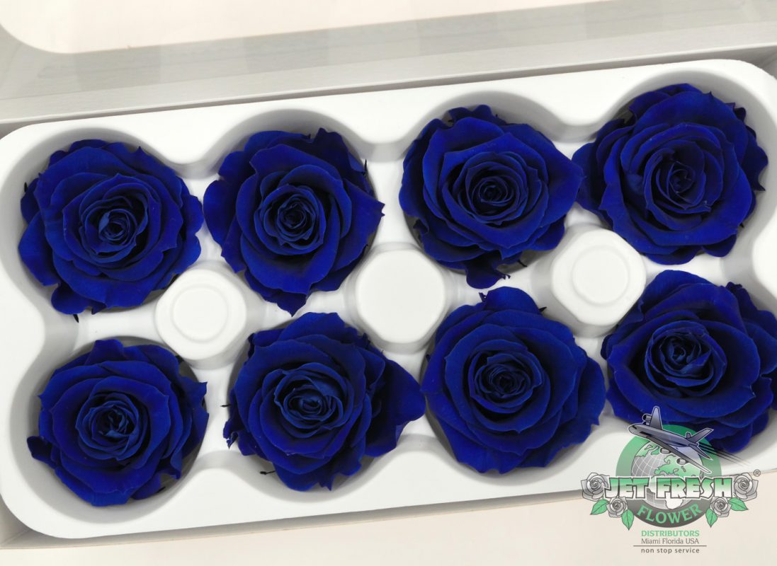 Jet Fresh Flower Distributors