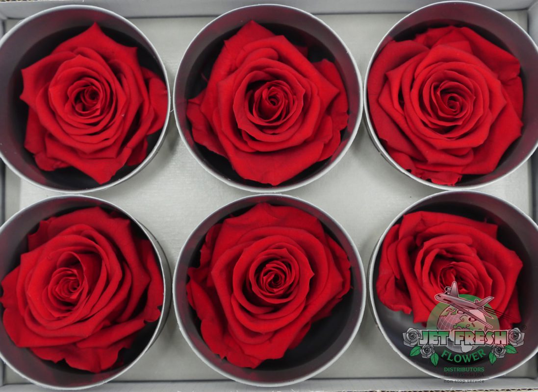 Jet Fresh Flower Distributors