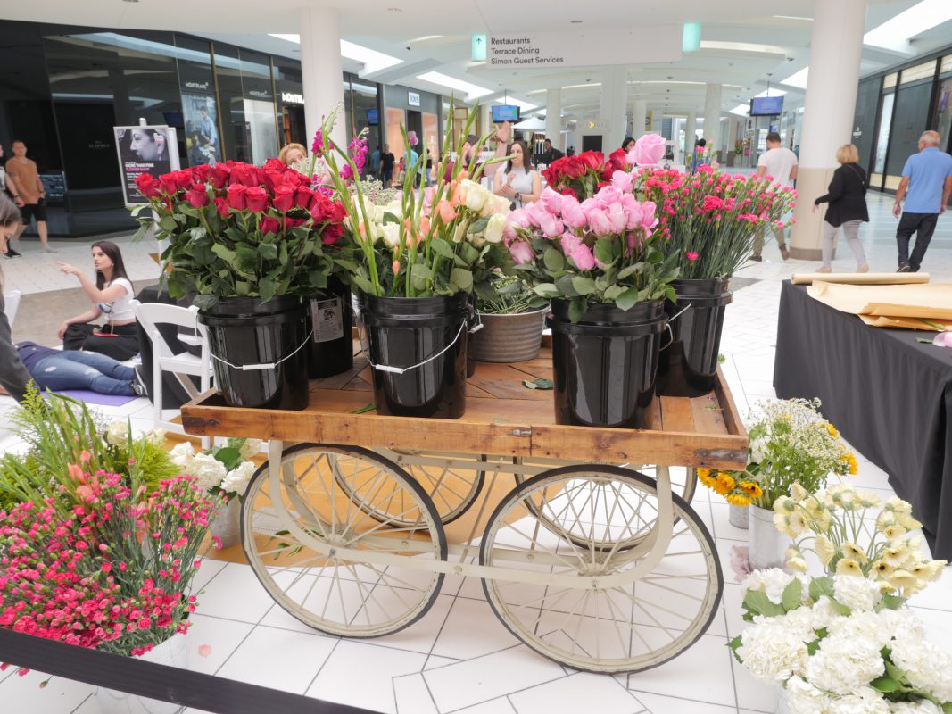 Jet Fresh Flower Distributors