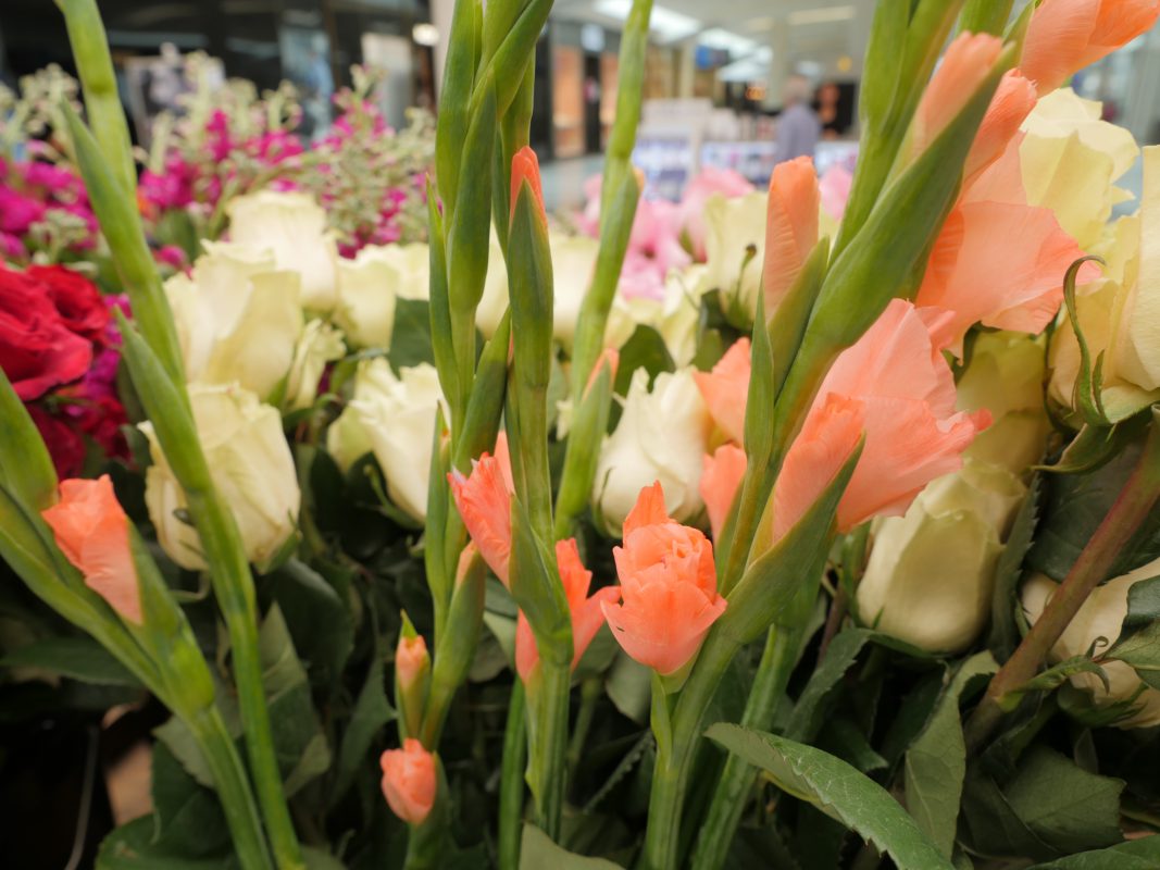 Jet Fresh Flower Distributors