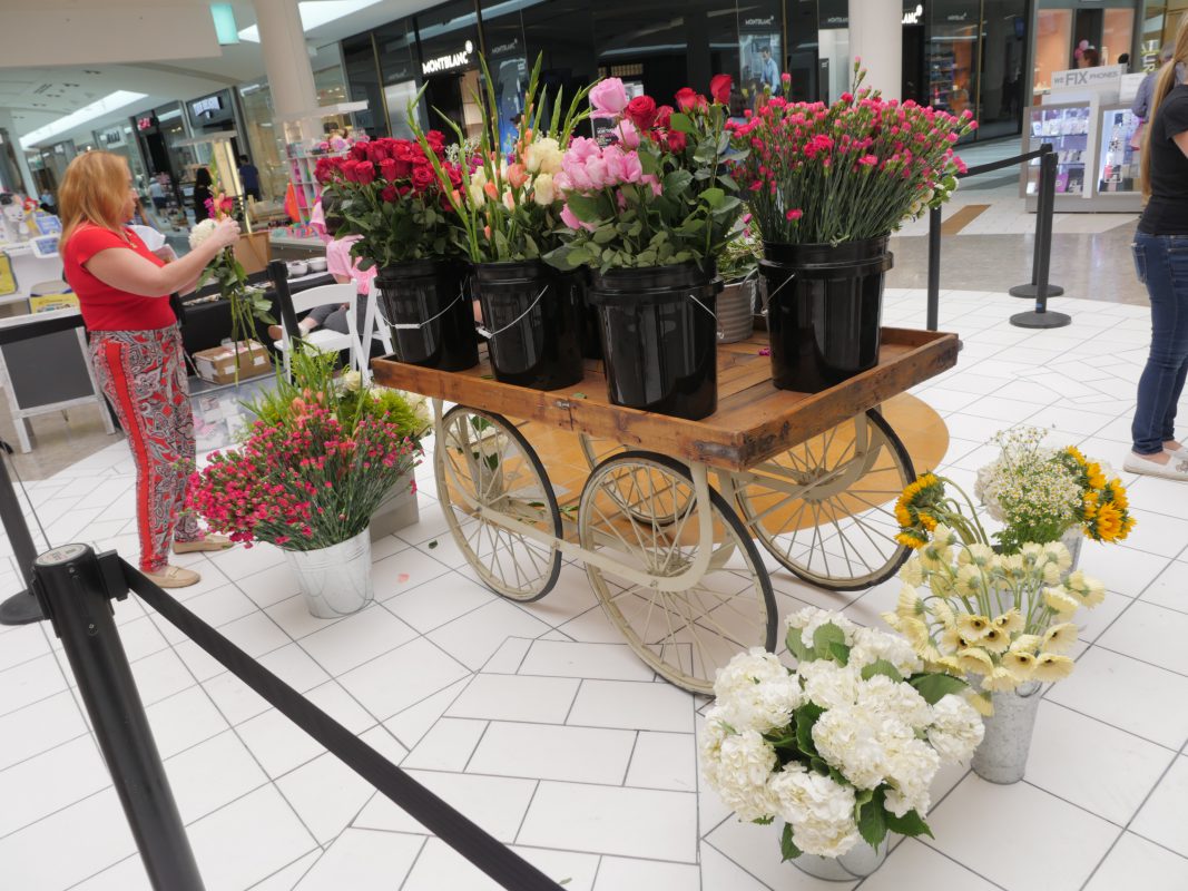 Jet Fresh Flower Distributors