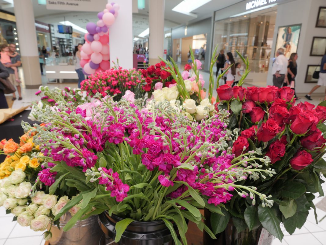 Jet Fresh Flower Distributors