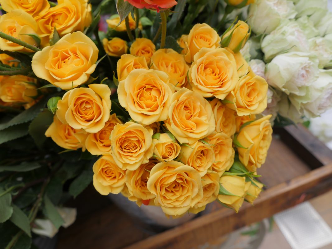 Jet Fresh Flower Distributors