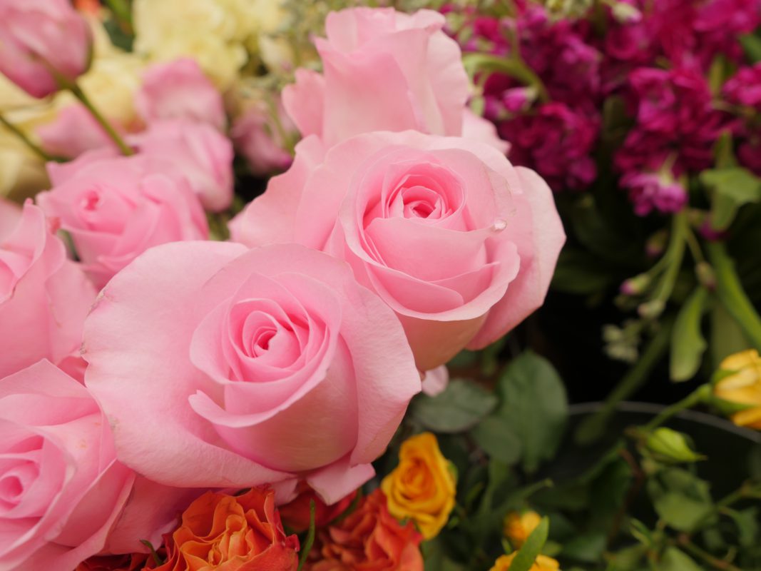 Jet Fresh Flower Distributors
