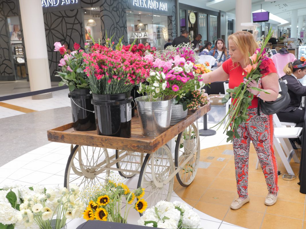 Jet Fresh Flower Distributors