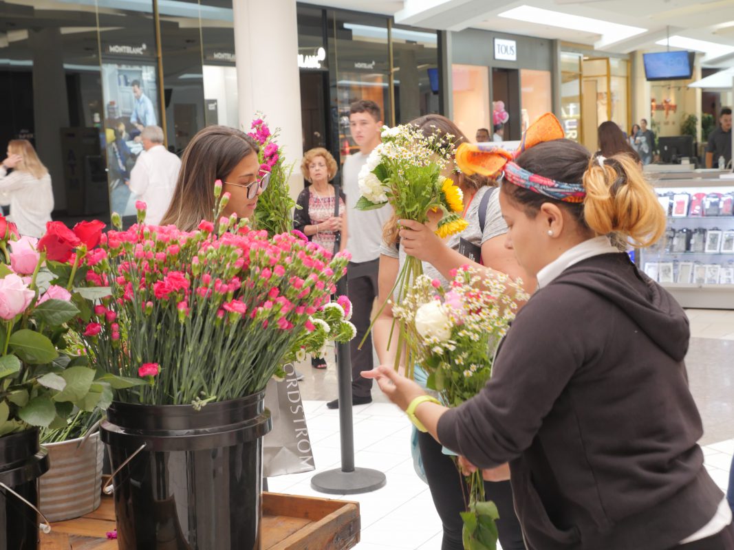 Jet Fresh Flower Distributors