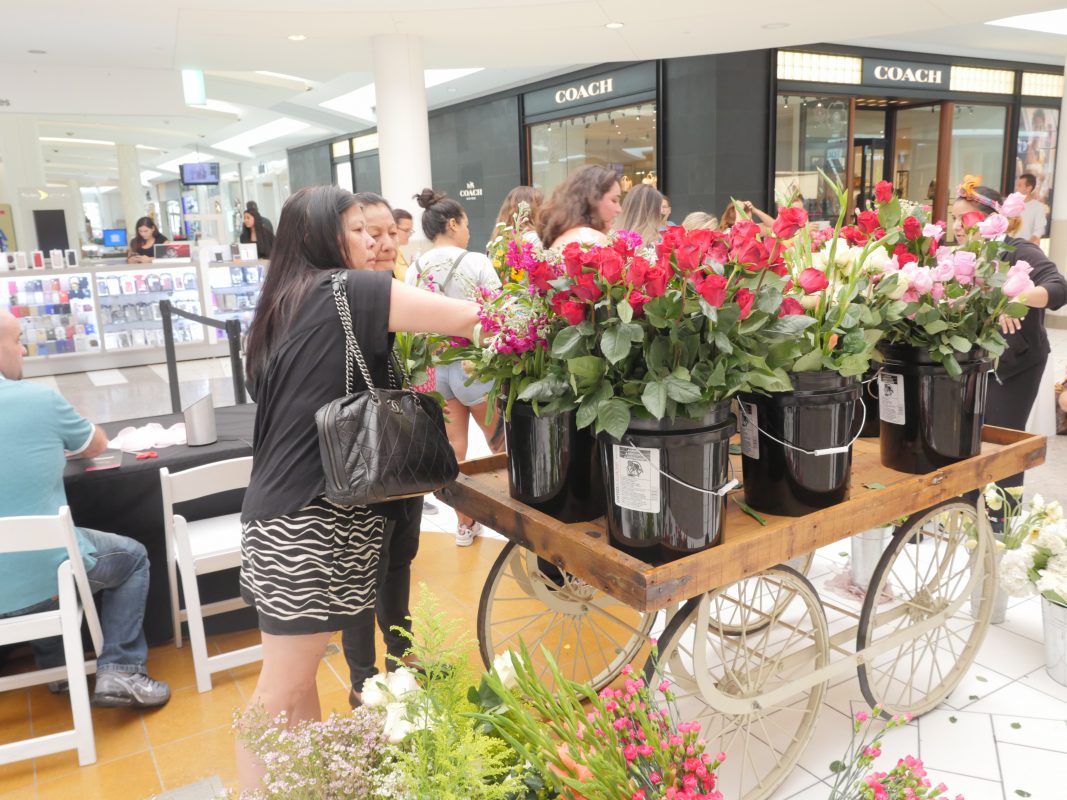 Jet Fresh Flower Distributors