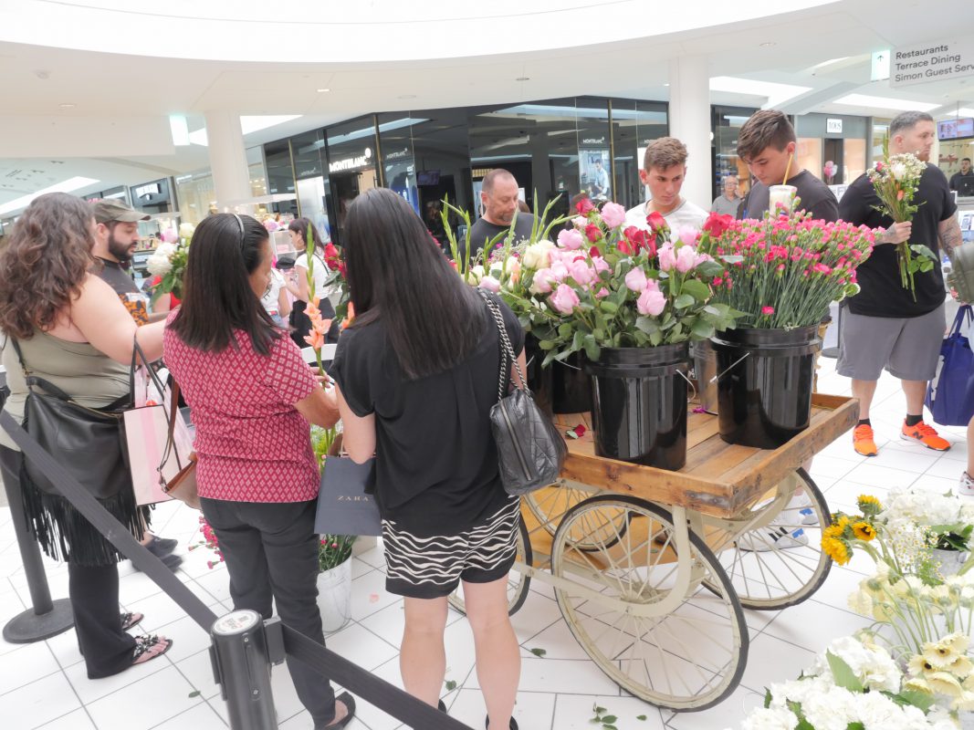 Jet Fresh Flower Distributors