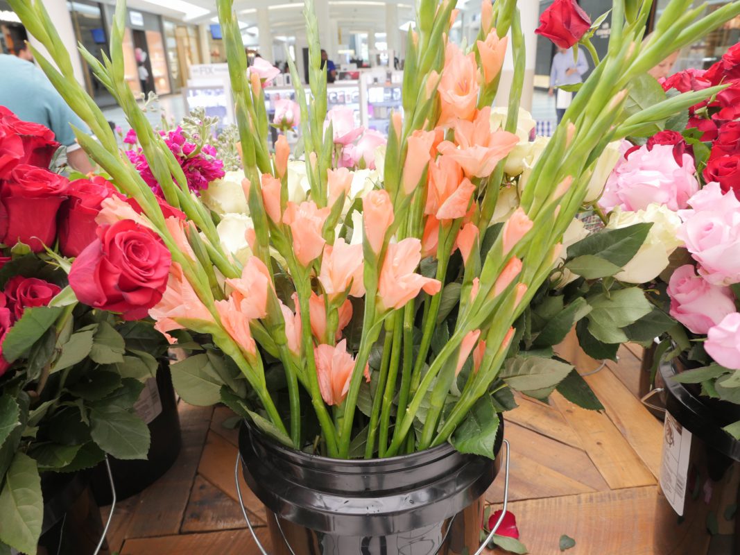 Jet Fresh Flower Distributors