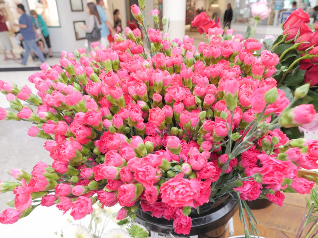 Jet Fresh Flower Distributors
