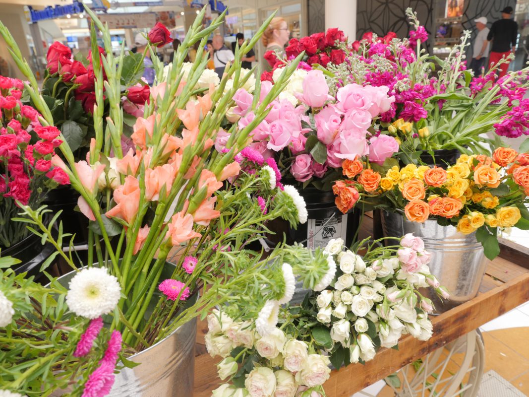 Jet Fresh Flower Distributors