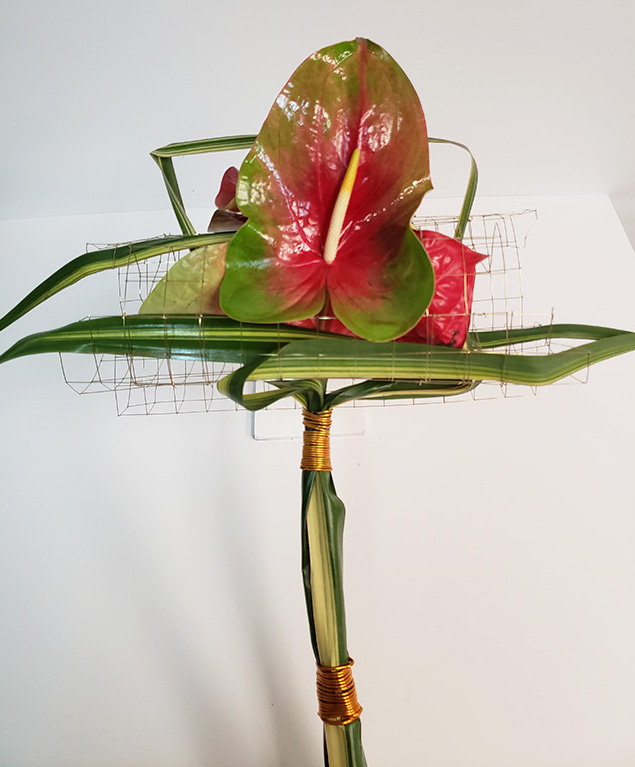 Jet Fresh Flower Distributors